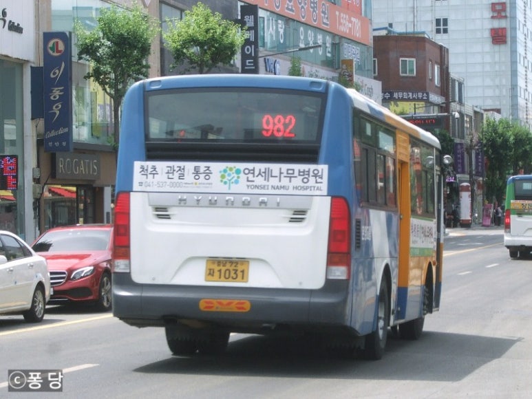그린시티 이미지