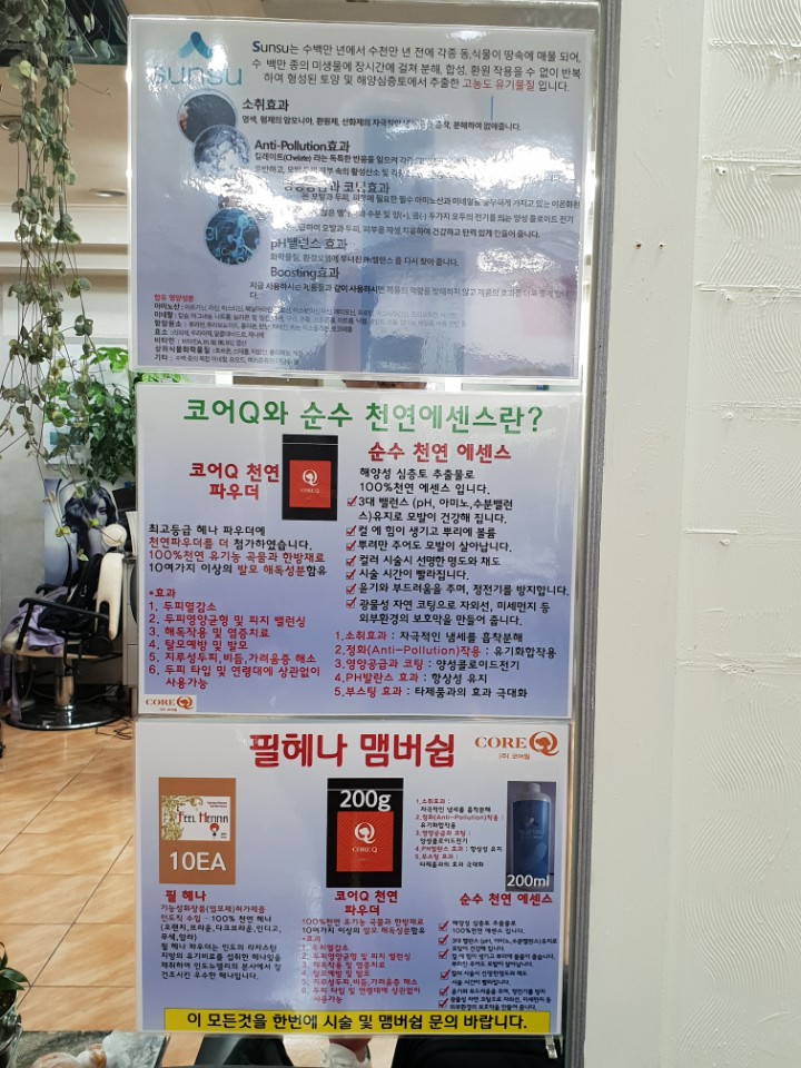 쉬크샵헤어 이미지