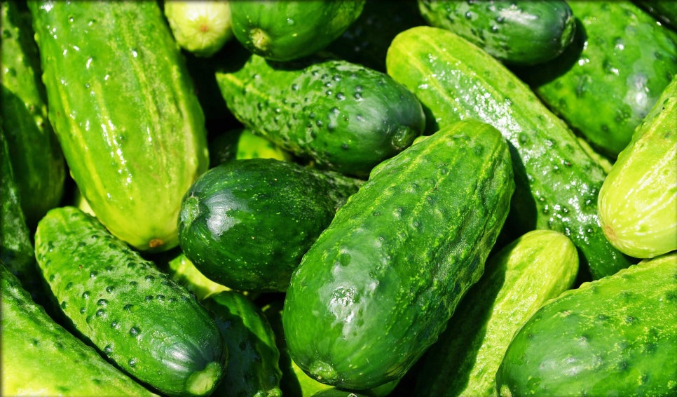 랜드원 이미지