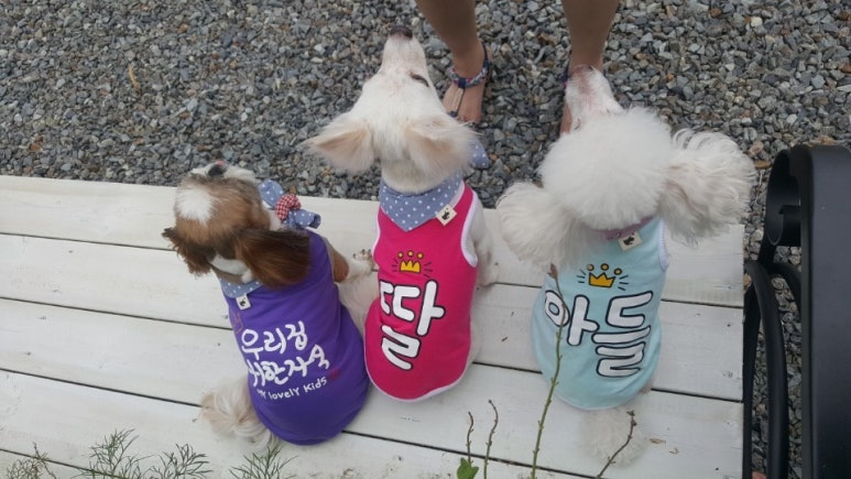 아미르하우스 이미지