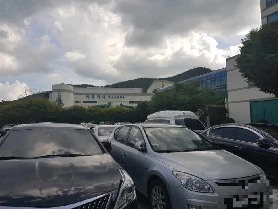 동복농협하나로마트 이미지