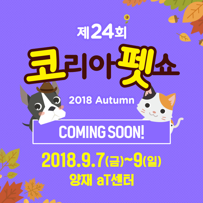 티켓코리아(주) 이미지