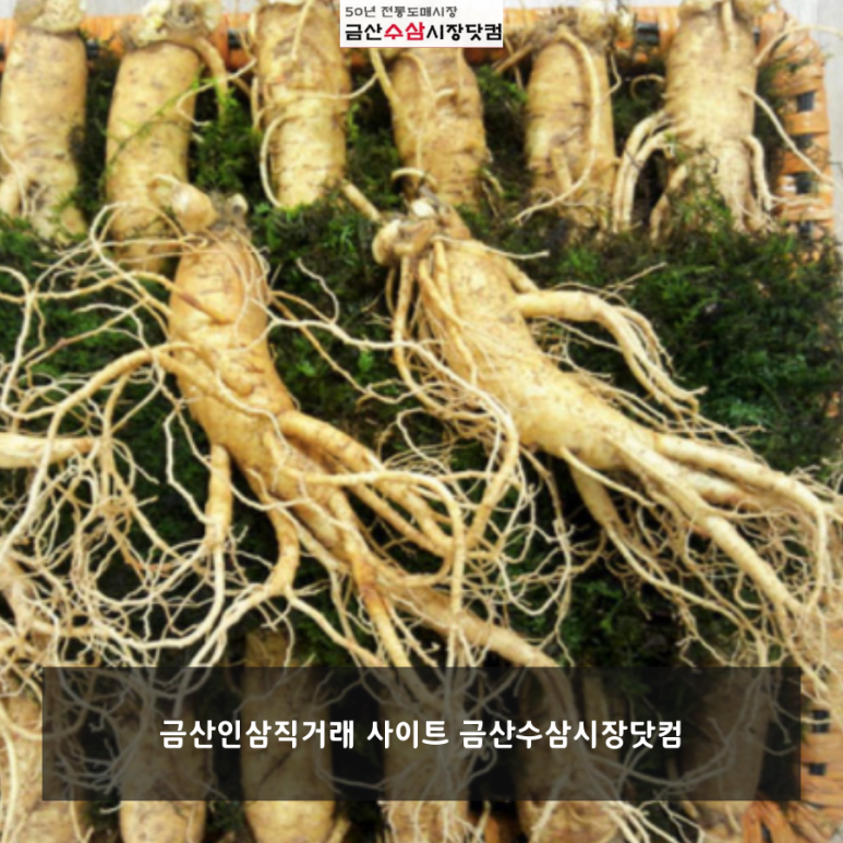 금산수삼시장닷컴 이미지