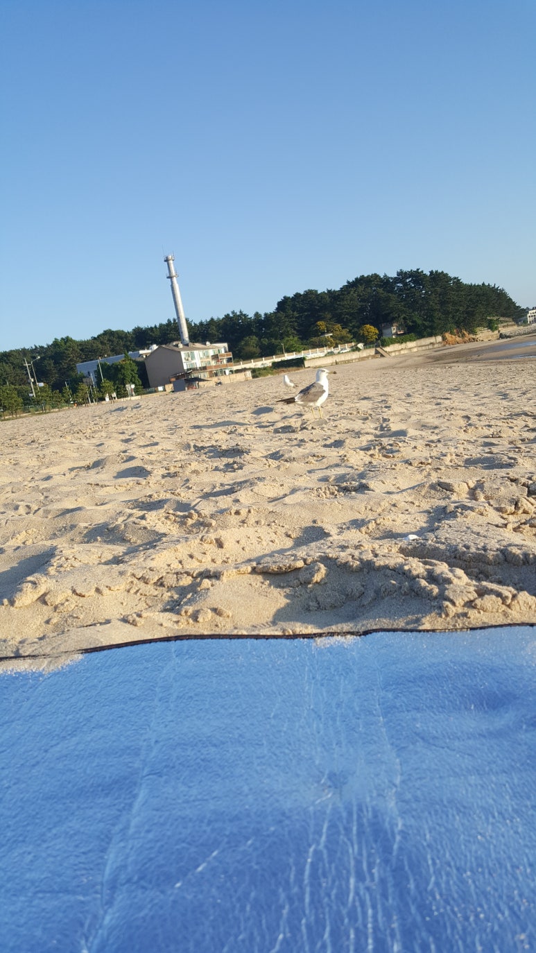 천리포차 이미지