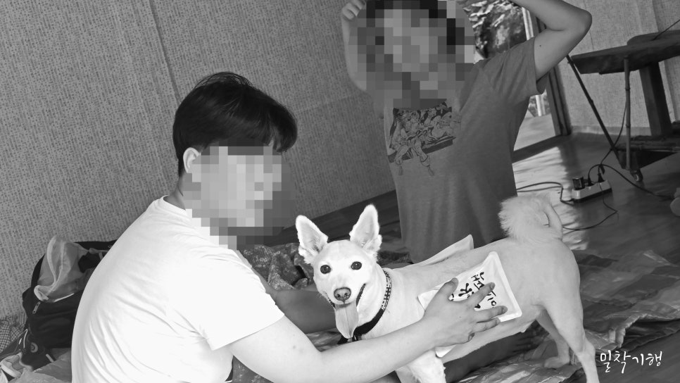 산골산내음 이미지