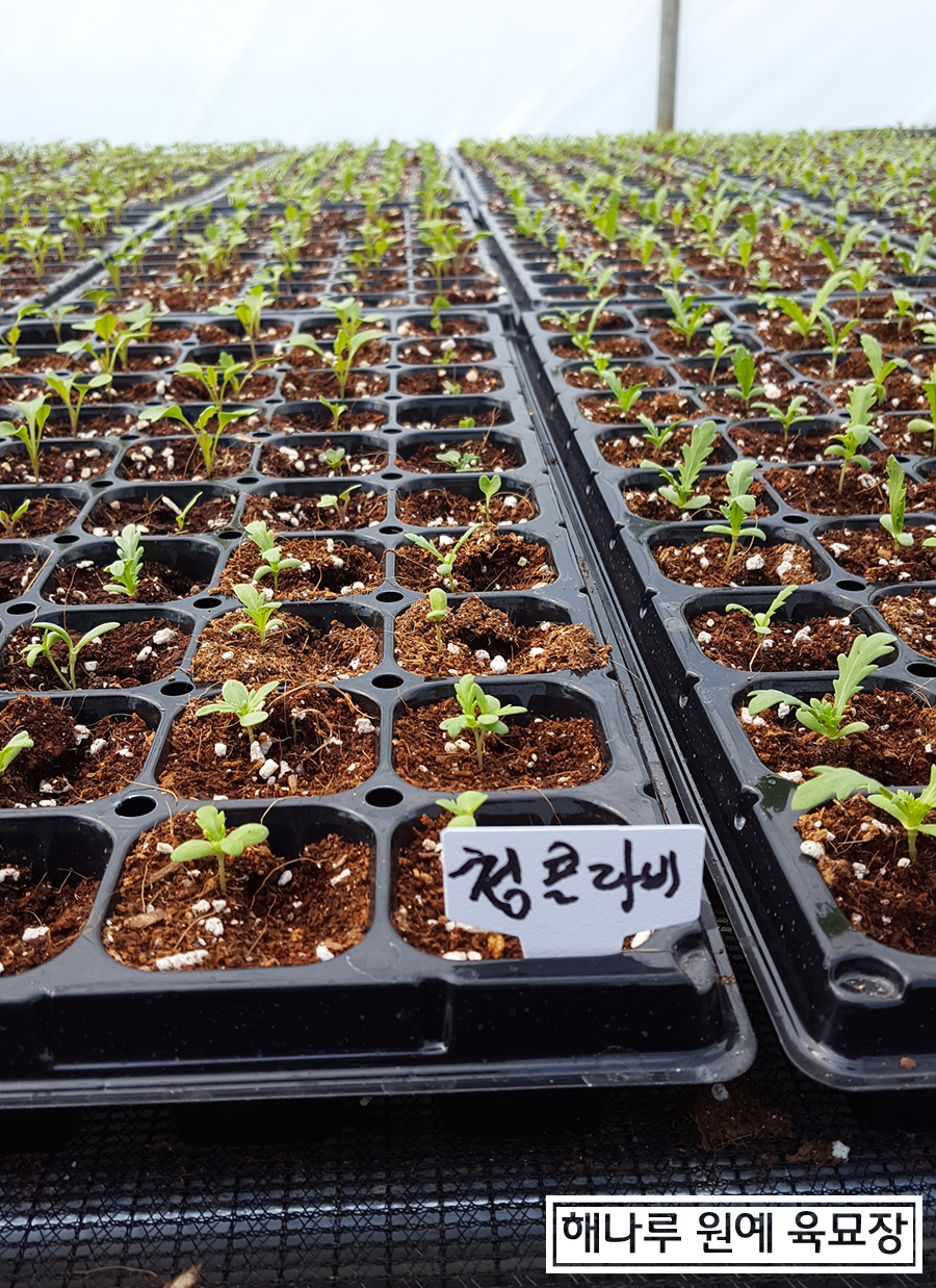 해나루식품 이미지