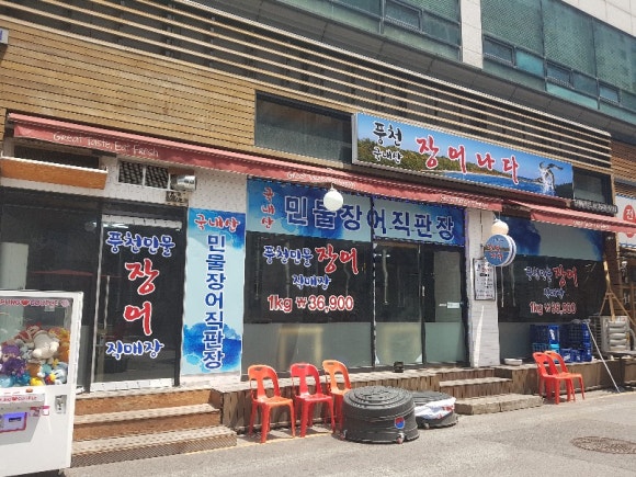 장어나다 이미지
