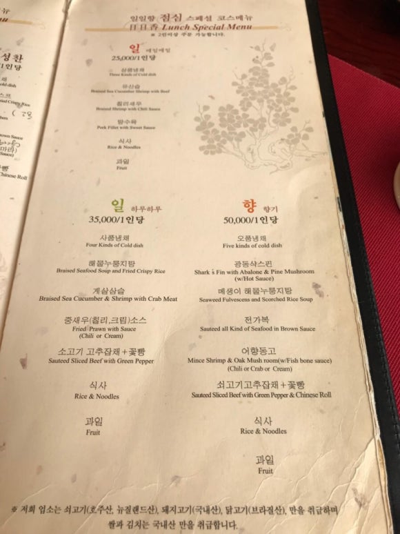 일일향 이미지