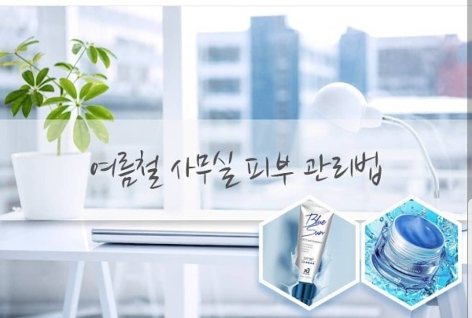 파이진글로벌 이미지
