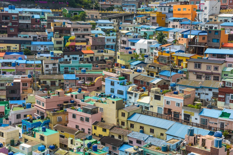 감천밀면 이미지