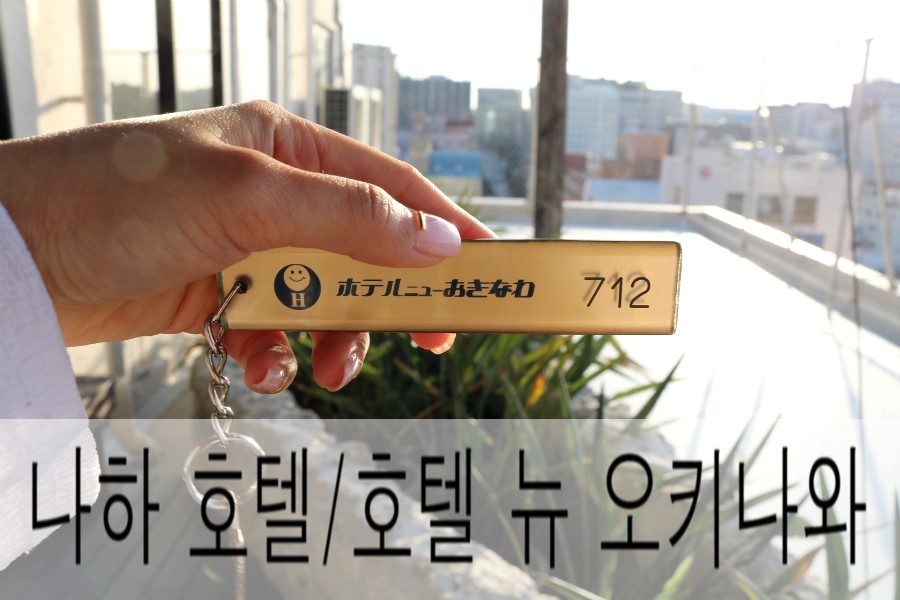 뉴스카이렌트카 이미지