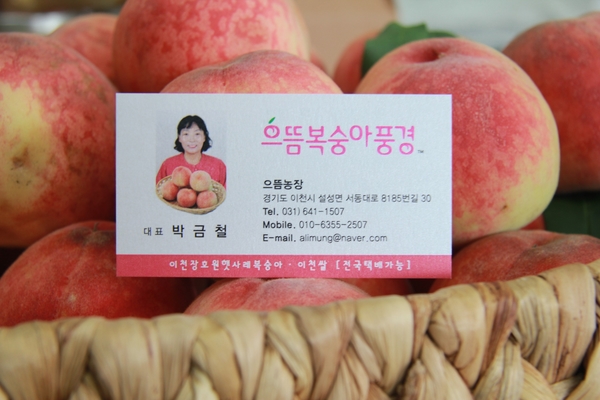 으뜸 복숭아 풍경 이미지