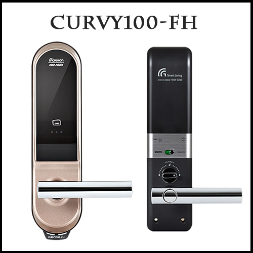 커비(Curvy) 이미지