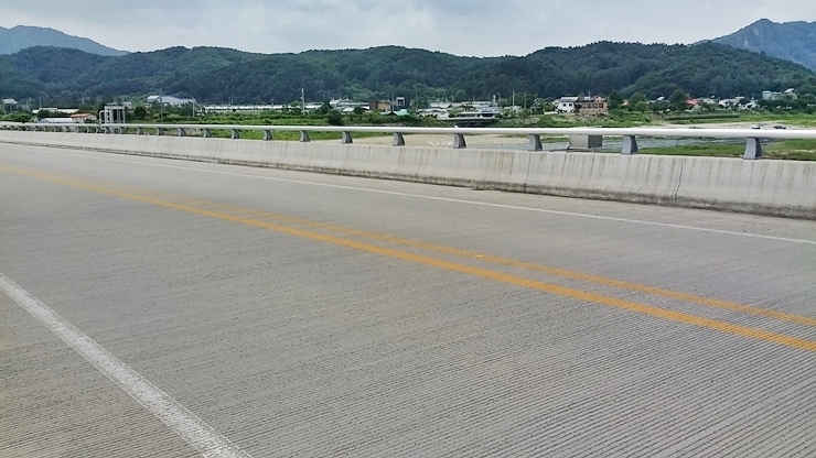 강변오리 이미지