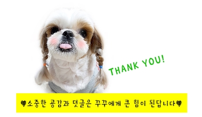 코모도스퀘어파주 이미지