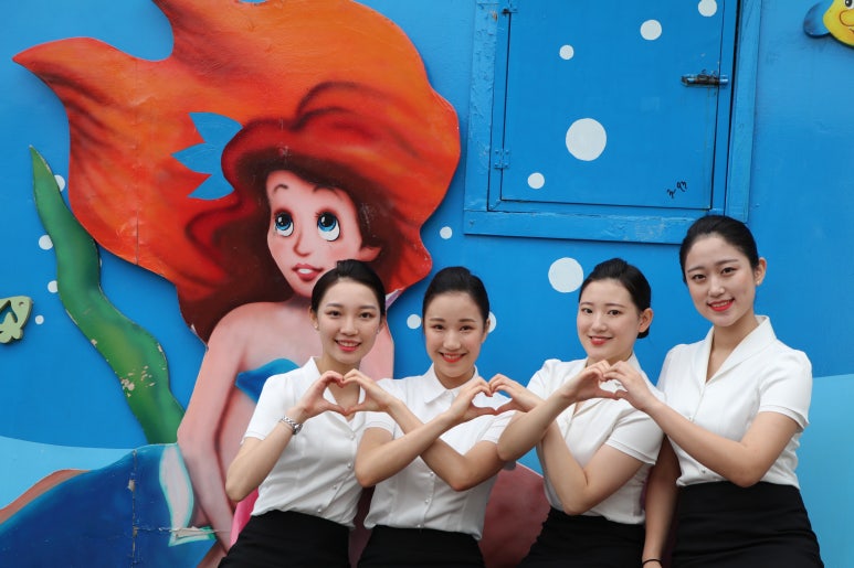 테마항공여행사 이미지