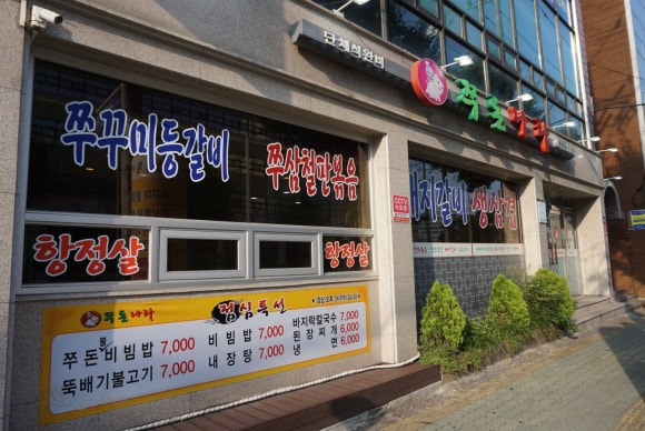 쭈돈나라 이미지