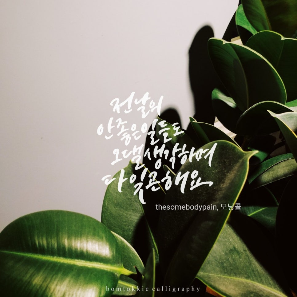 오모커피 이미지