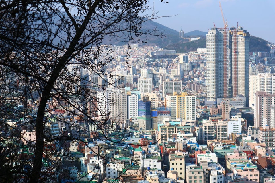초장중학교 이미지