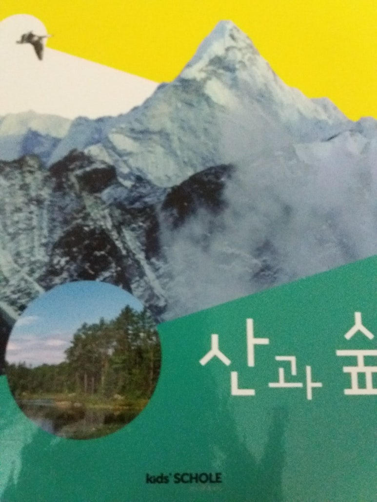 산과숲 이미지