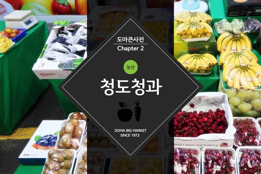 청도청과 이미지