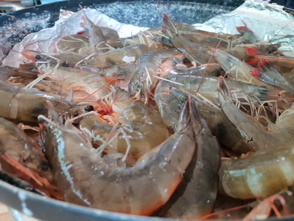 고성수산 이미지