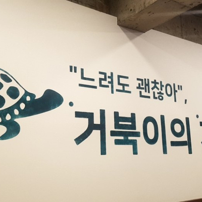 거북이의기적 이미지