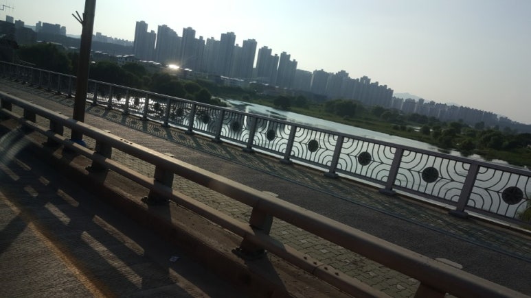 코끼리손세차 이미지
