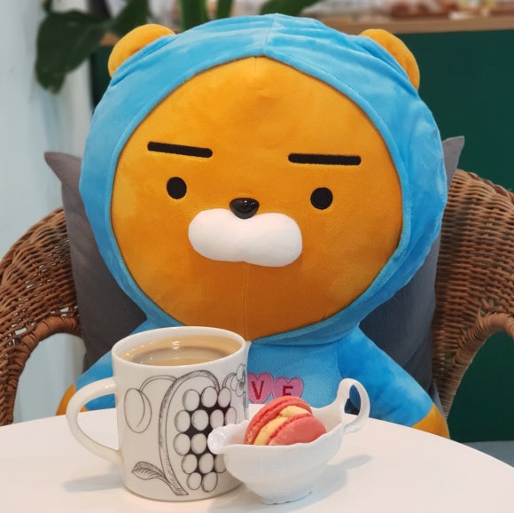 라파린 이미지
