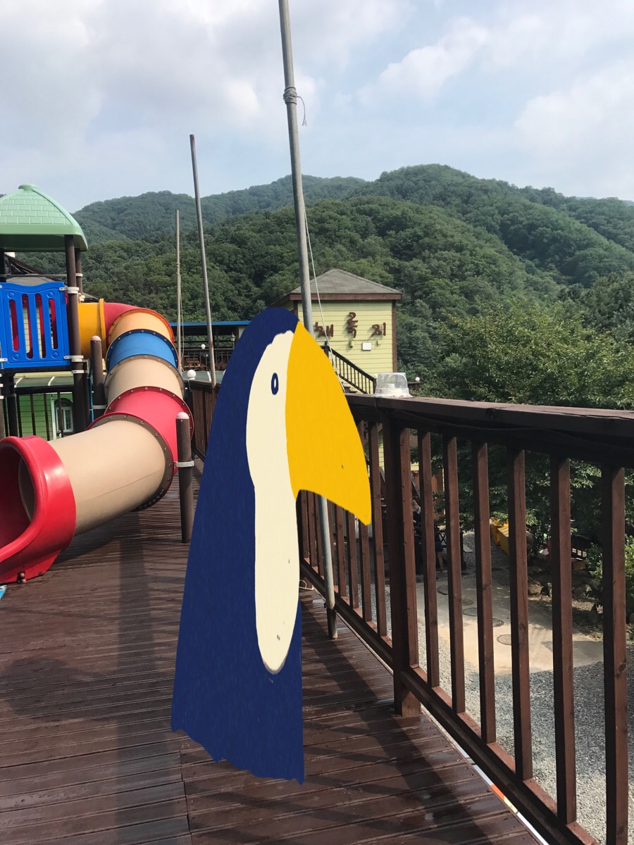 채록지 이미지