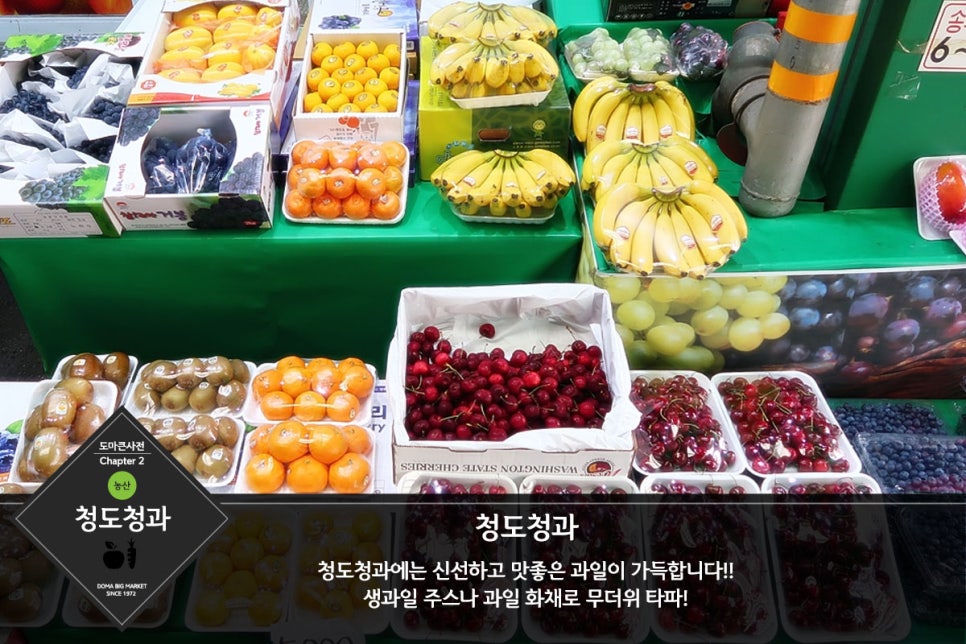 청도청과 이미지