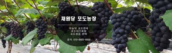 채원당 이미지