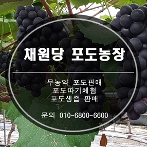 채원당 이미지