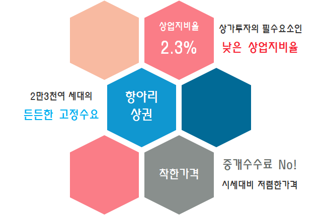 리치정보 이미지