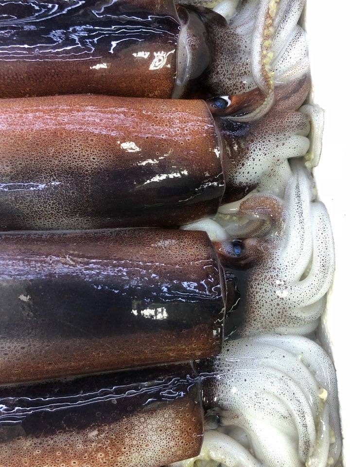 과일총각 이미지