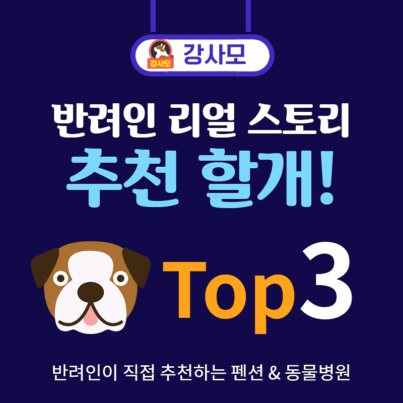 안단테팬션 이미지