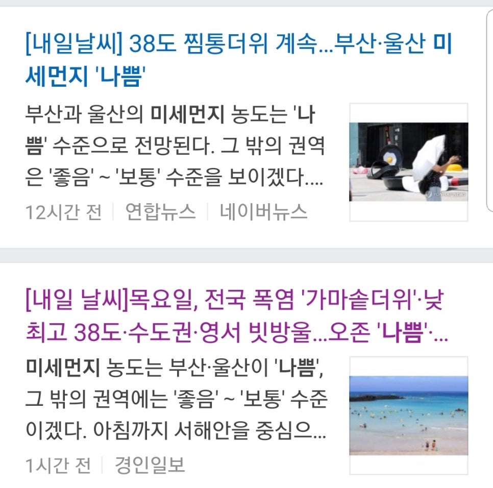 미세스지 이미지