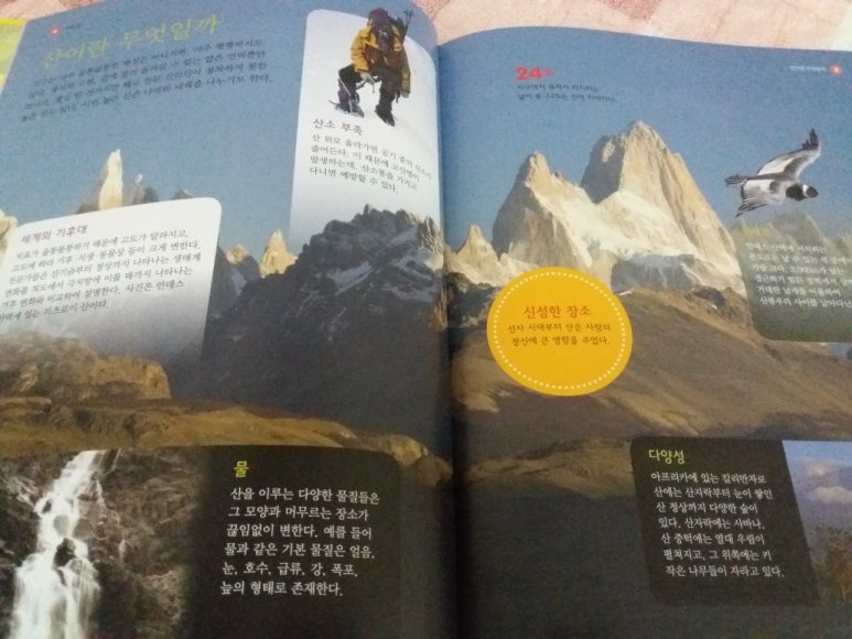 산과숲 이미지