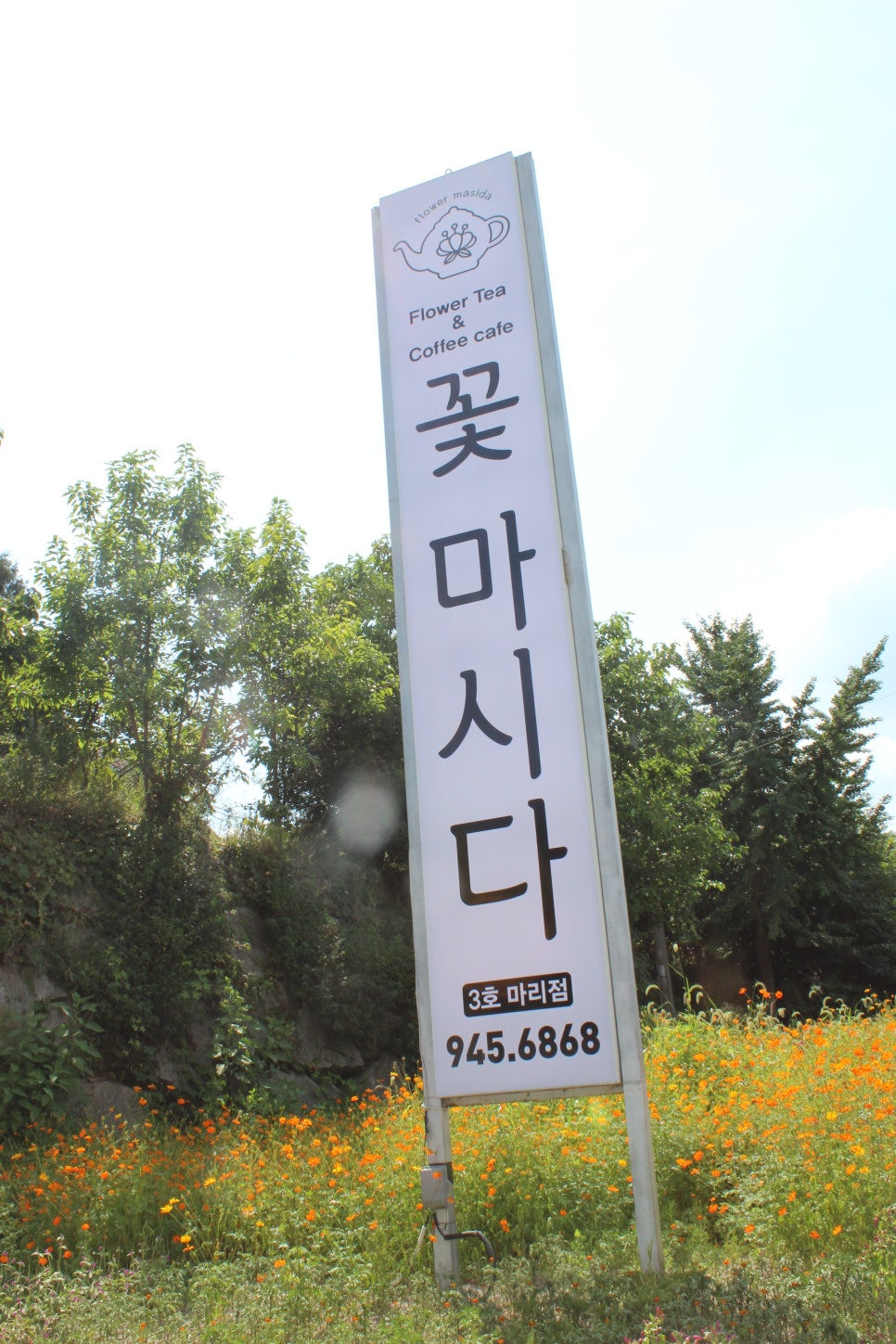 꽃마시다 이미지