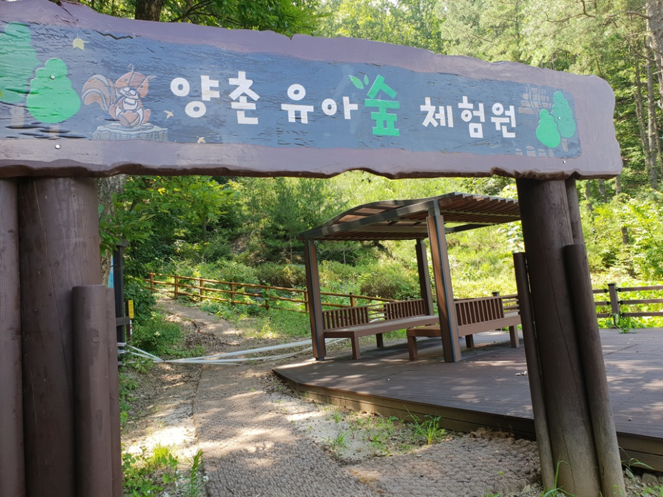 양촌 유아숲체험원 이미지