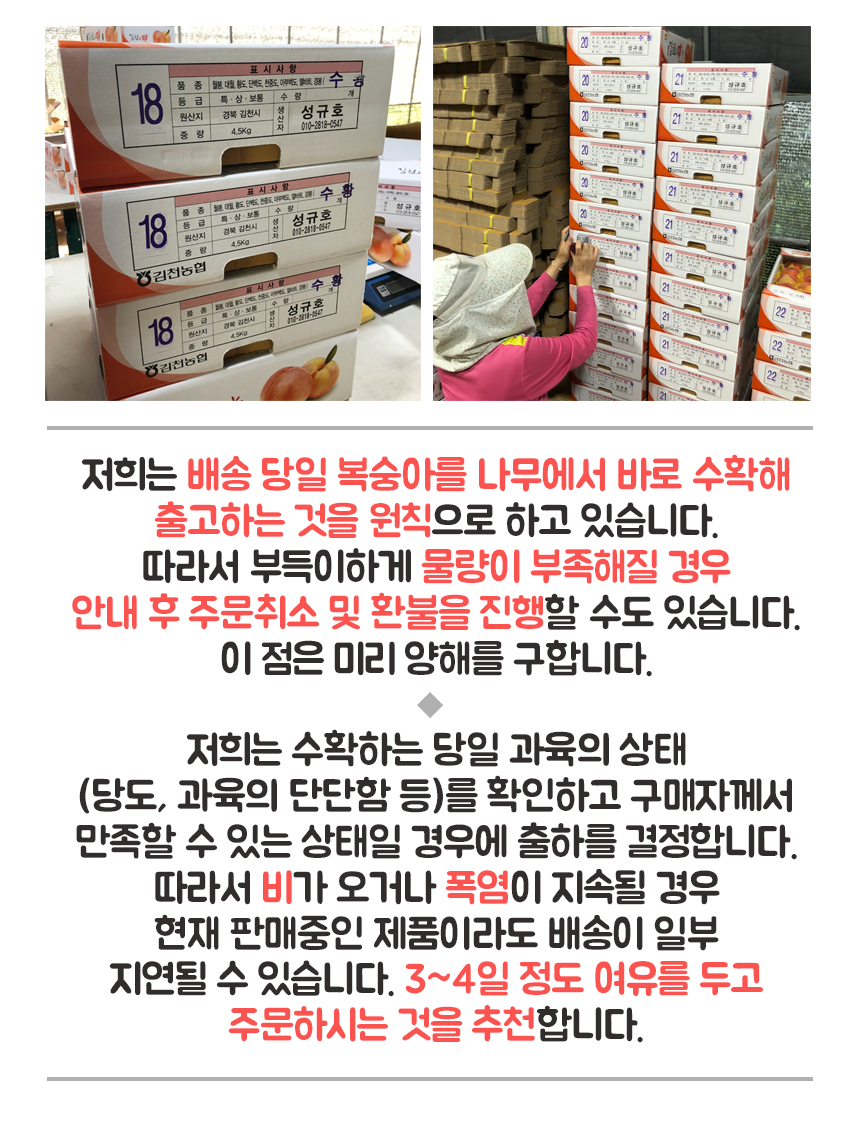호야네농장 이미지