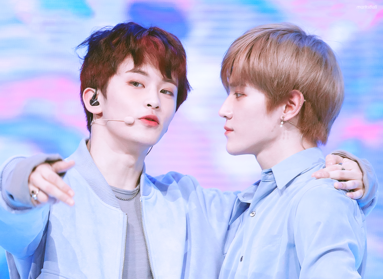 화이트워싱 이미지
