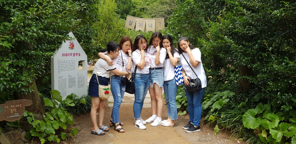 제주렌트로 이미지