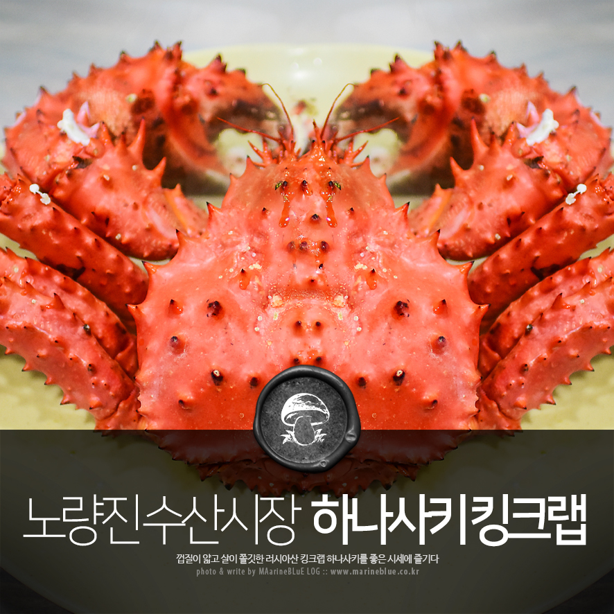 충무스쿠바 이미지