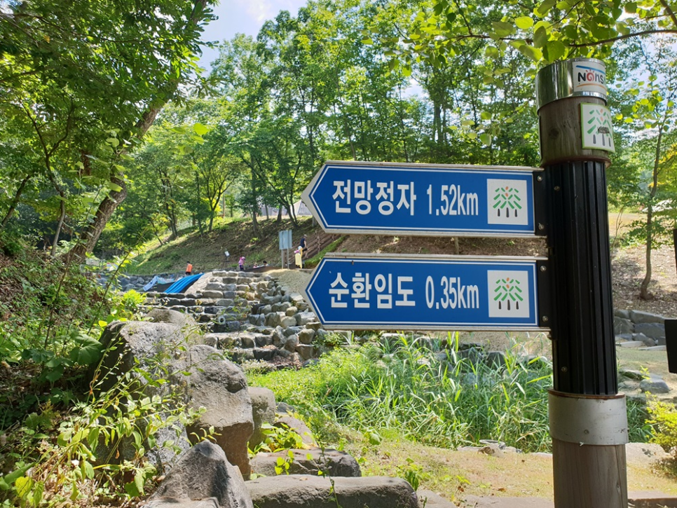 양촌 유아숲체험원 이미지