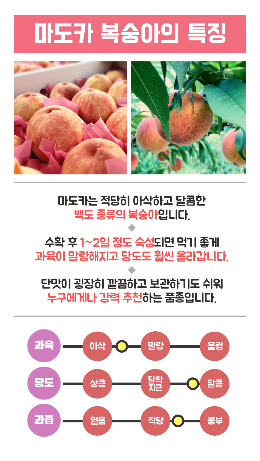 호야네농장 이미지