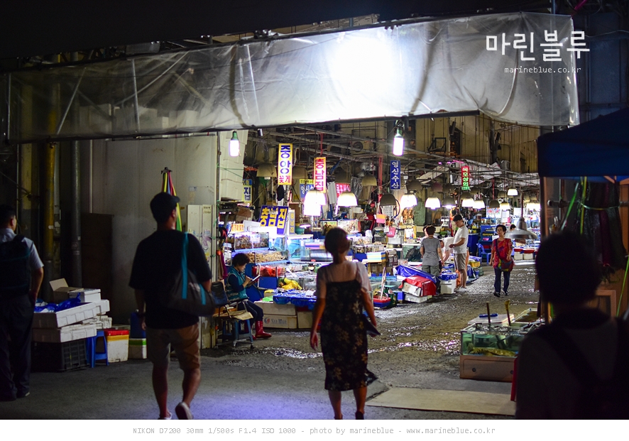 충무스쿠바 이미지