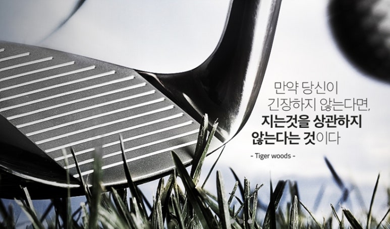 정골프 이미지