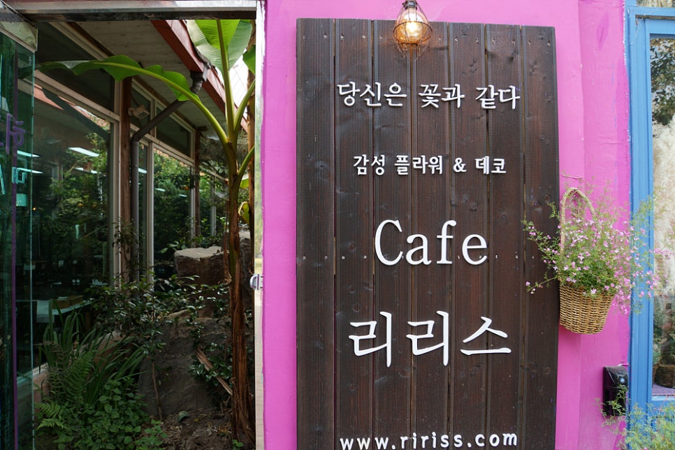 허브힐링카페 이미지