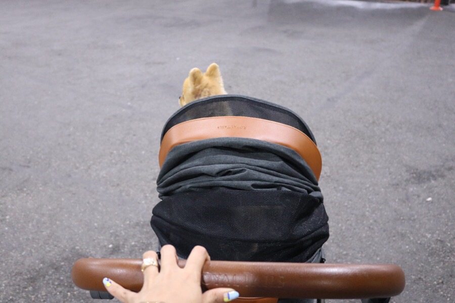 로얄세차장 이미지